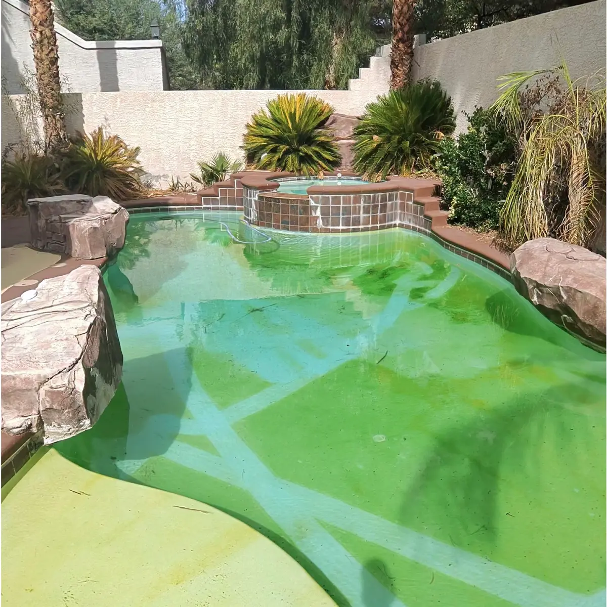 Backyard pool with cloudy yellow-green water, a rock ledge and a tiled spa